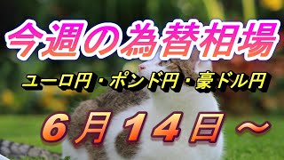 【FX】ユーロ円、ポンド円、豪ドル円の為替相場の予想と前日の動きをチャートから解説。6月14日～