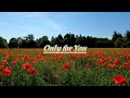Beò - Only for You | 🎧 A Love Letter to My 