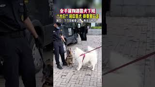 女子遛狗遇警犬下班大白相中警犬竟要跟它走…… @中文热点信息 #新闻 #时政 #政治 #中国 #民生 #情感 #正能量 #社会问题 #政府 #政策 #分析