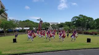 琉大祭2019｢法政エイサー PR演舞(1st)｣