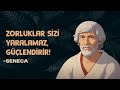 SENECA: Hayatınızı Değiştirecek STOACI Dersler