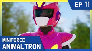 [KidsPang] Miniforce Animaltron｜🦁Ep.11 A Telepathic Friendship