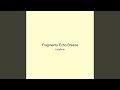 Fragments Echo Breeze