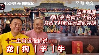 [2023兔接好运过大年]12生肖运程解说 - 陈师父解说属龙（害太岁)，狗, 羊与牛的运程. 第二站选址顺山亭榕树下大伯公宫, 庙主谢汉武细诉了当年榕树下的小小大伯公如何显灵，到买地建庙的故事.