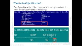 Exadata Smart Flashcache Contents objectNumber