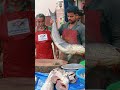 Fish cutting #sorts #seafood #seafoodlover #fish