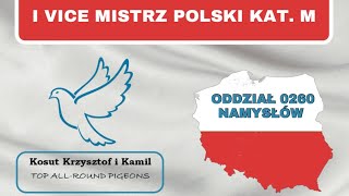 Młode gołębie po Lotnikach na sprzedaż🔥 Ostatnie sztuki🏆Szybka dostawa do 31.12.2024📦