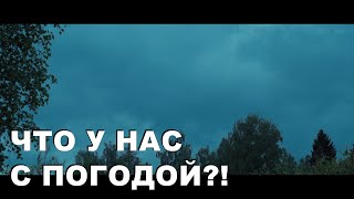 Погода в Москве и Подмосковье бьет рекорды по количеству дождей. Жизнь в деревне