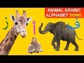 Arabic alphabet song (animals) - (أغنية الحروف الأبجدية العربية (الحيوانات