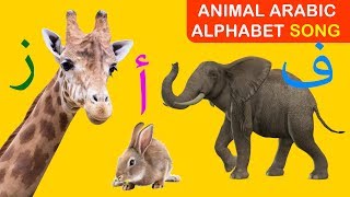 Arabic alphabet song (animals) - (أغنية الحروف الأبجدية العربية (الحيوانات
