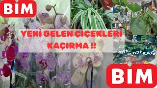 📣BİM MARKETLERE 14 ŞUBATA ÖZEL 🩷RENGARENK ÇİÇEKLER🩷 SAKIN KAÇIRMAYIN #bimaktüel #bim #çiçek#garden