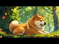 Magic music land-Forest music, Healing, Nature, Birds-Shiba Ina image