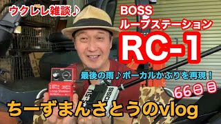 ★vlog★66日目！【ウクレレ雑談♪ ルーパーを使ってみました！】