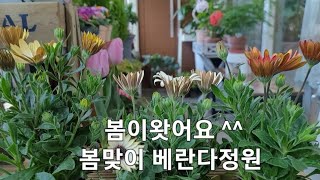 꽃사러~고고!!  봄맞이 베란다정원 단장하는날🌷/부산 엄궁화훼단지 다녀왔어요