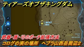 ティアキン　コログの実の場所　ヘブラ山西岳周辺２　武器・盾・弓のポーチ拡張方法　＃１０５５　【ゼルダの伝説ティアーズオブザキングダム】