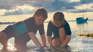 Bribie Island State School (From the Bush to the Beaches)