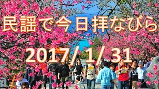 【沖縄民謡】民謡で今日拝なびら　2017年1月31日放送分 ～Okinawan music radio program