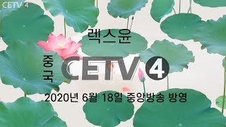 [수먹단청] 문화와 유통이 융합하는 렉스윤 중국 CETV4 중앙방영분 2020.06.18