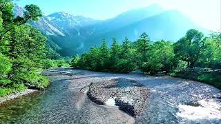 AMAZING JAPANESE RIVER, BIRDSONG WITH BABBLING BROOK SOUND, BEAUTIFUL PLACE TO RELAX