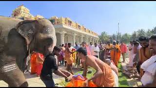 ಶ್ರೀ ನೊಣವಿನಕೆರೆ ಗಜರಾಜನಿಂದ ಮಂಗಳ ಸ್ನಾನ