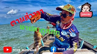 ตามล่าหาปลาดุกทะเล⚓️⚓️✌️✌️❤️🎣🎣