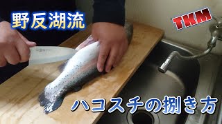 【野反湖】我流‼ ハコスチの捌き方　～刺身、お寿司におすすめ～