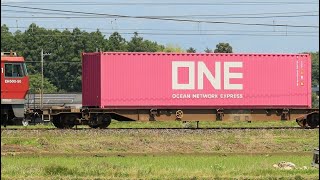 2021-06-09 隅田川着 3070列車 海上ｺﾝﾃﾅ積載 410分遅れ