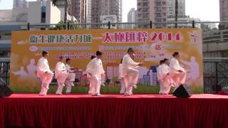 香港楊氏太極拳總會參加太極滙粹2014表演傳統楊氏太極拳