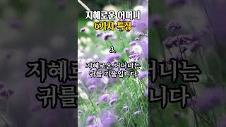 🌿지혜로운 어머니 6가지 특징 #어머니의삶 #현명한부모 #부모지식