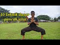 10 Tehnik Dasar dalam pencak silat. #pencaksilat #pscp