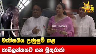 මැතිසබය උණුසුම් කළ තායිලන්තයට යන මුතුරාජා - Hiru News