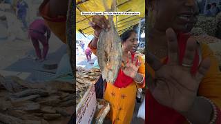 Mumbai’s Biggest Dry Fish Market of Maharashtra