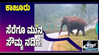 | ಕರ್ಣನ ಒಂಟಿತನಕ್ಕೆ ಕಾರಣವೇನು? | ಮುಗ್ದ ಆನೆ ಕೋಪಗೊಂಡಿದ್ದೇಕೆ? |ಕರ್ಣನ ಒಂಟಿತನಕ್ಕೆ ಕಾರಣವೇನು? |