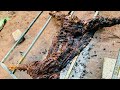 #shots | goat grill | mutton recipe Malayalam| mutton grill # grill | #short videos #beta