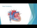 bmi unit 2 biomedical recorders ecg block diagram and ecg electrodes