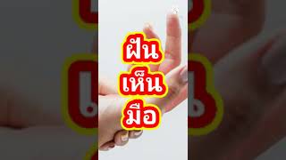 ฝันเห็นมือ ตีเป็นเลขอะไร?