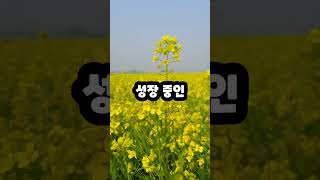 🏙️🇺🇸 콜로라도 한인이 가장 많이 사는 도시 TOP 10! 당신의 도시는? 🏆