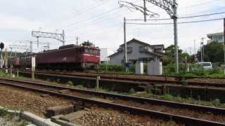 日本海縦貫線を走る貨物列車：4081レ（2013.07.12）