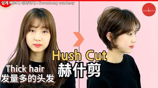 赫什剪 (Hush Cut) 短发剪发教程 ✂️ | 从长发到波波头的完整变身！