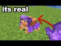 I Busted 54 Popular Myths In Minecraft 1.19...