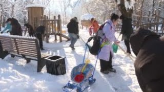 «Таза Қазақстан»: в Алматы продолжается экоакция