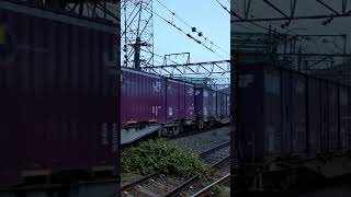 【EF66 111】EF66牽引の貨物列車が線路を軋ませながらカーブをゆっくりと通過【サメ】