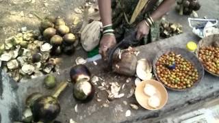 Tadgole at Chaul Alibaug Maharashtra