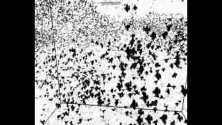 Boids Simulation on GPU