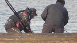 ヒットした青物回遊魚をタモ網で掬い上げているようです