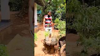 ഭാര്യ + ഭർത്താവ് = അടി.. 😂# shorts# comedy # trending # ytshorts