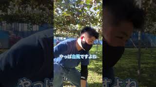 【フルーツ生産者の声】東京ゴールド(キウイ)農家さんを取材！#Shorts