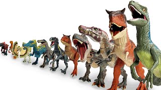 BEST Jurassic World CARNIVORES: Biggest To Smallest | T-Rex, Carnotaurus, Velociraptor and More!