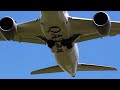 boeing 787 dreamliner fly by royalty free aircraft hd stock video footage.