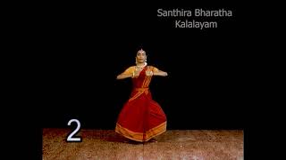 தித் தித் தெய் அடவு  | Thith Thith Thei Adavu | Bharathanatyam Basics | Santhira Bharatha Kalalayam